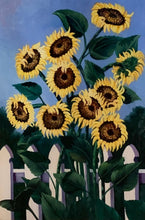 Beautiful countryside yellow sunflowers shining through the white fence oil painting on canvas. Painting is not signed by the artist.