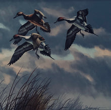 Mallard Ducks Taking Flight by Braadshaw.
