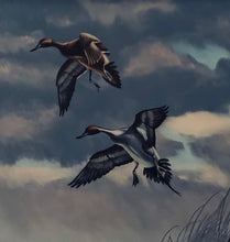 Mallard Ducks Taking Flight by Braadshaw.