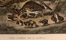Arthur Fitzwilliam Tait “The Cares of a Family” Published and Copyright in 1856 by N. Currier N.Y..